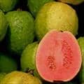 Half a guava