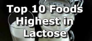 High Lactose Foods
