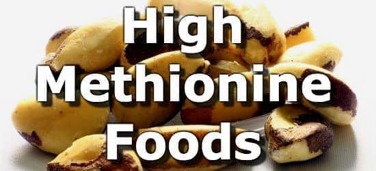 Top 10 Foods Highest in Methionine