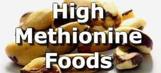 High Methionine Foods