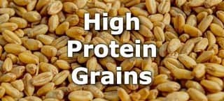 High Protein Grains