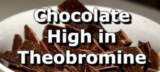 Top 10 Chocolate Products Highest in Theobromine