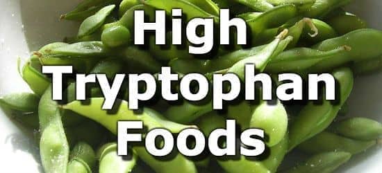 Top 10 Foods Highest in Tryptophan