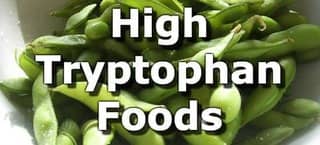 High Tryptophan Foods