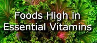 The Top 15 Foods Highest in Vitamins