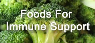 Healthy Foods to Support Your Immune System