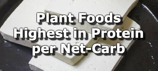 Plant Foods Highest in Protein per Net Carb