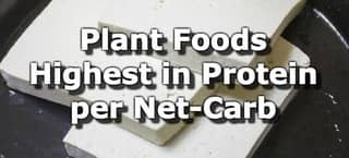 27 Plant Foods Highest in Protein per Net Carb