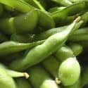Green Soybeans (Edamame)