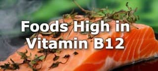 High Vitamin B12 Foods
