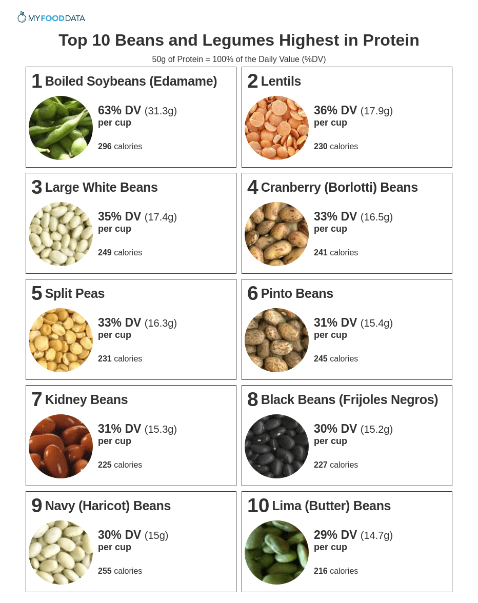 A one-page printable list of beans high in protein.