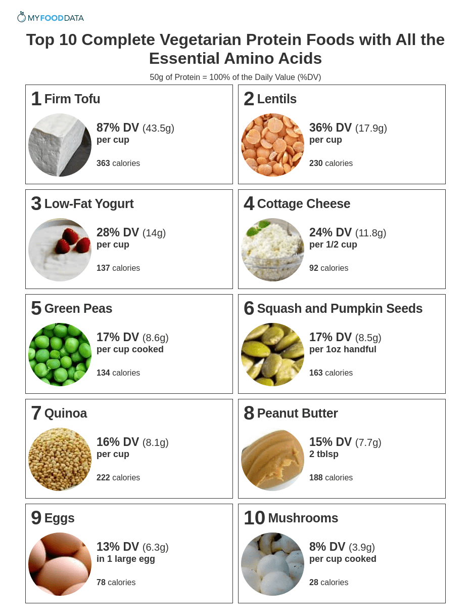A printable one-page list of vegetarian foods high in protein including tofu, beans, lentils, yogurt, milk, cheese, green peas, nuts, seeds, whole grains, peanut butter, eggs, and white button mushrooms.