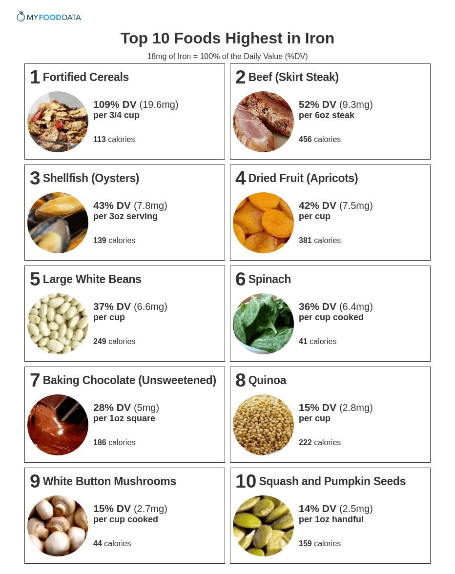 Printable one-page list of iron rich foods including: fortified cereals, beef, shellfish, dried fruit, beans, lentils, dark leafy greens, dark chocolate, quinoa, mushrooms, and squash seeds.