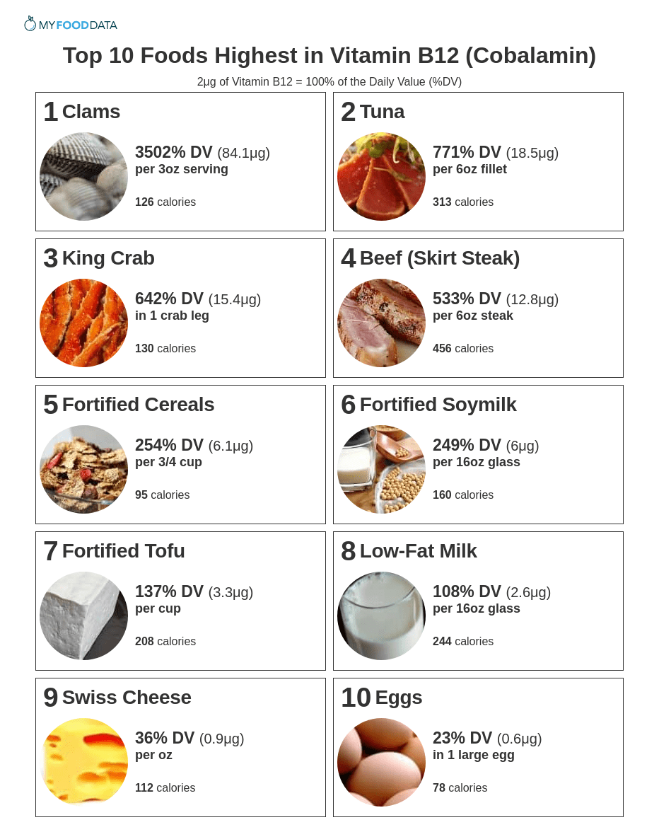 A printable list of the top 10 vitamin b12 foods.