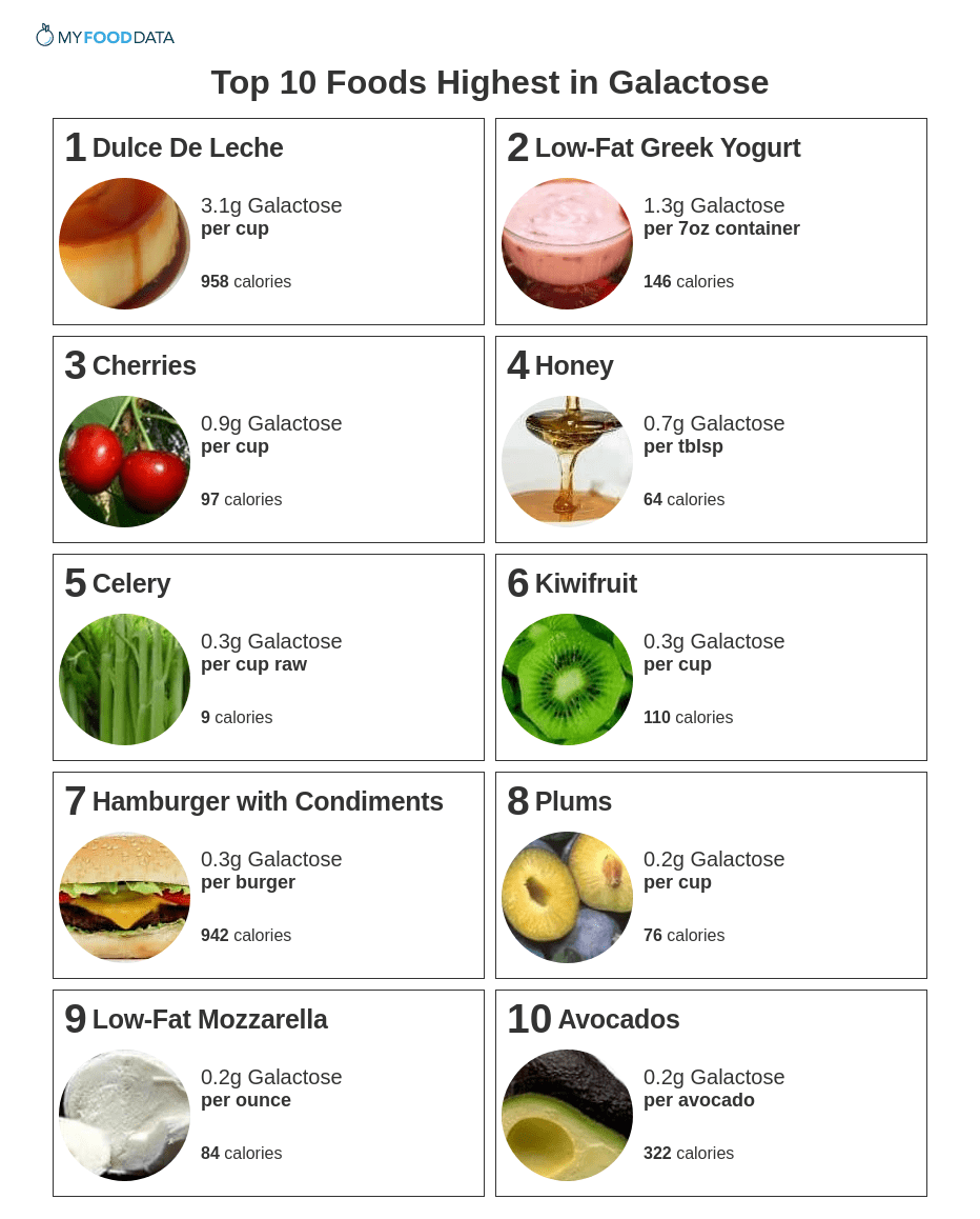 A printable list of high galactose foods.