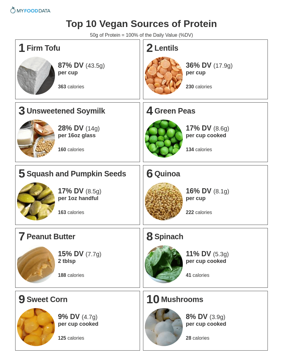 A printable one-page list of vegan foods high in protein.